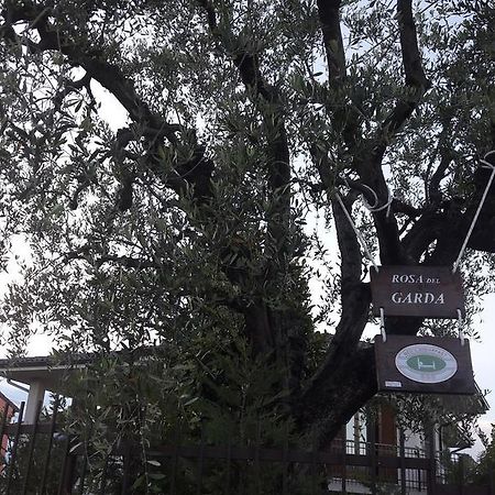 B&B Rosa Del Garda Lazise Exterior photo