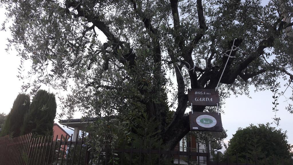 B&B Rosa Del Garda Lazise Exterior photo